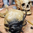 202-borg-skull-under-construction-02.jpg